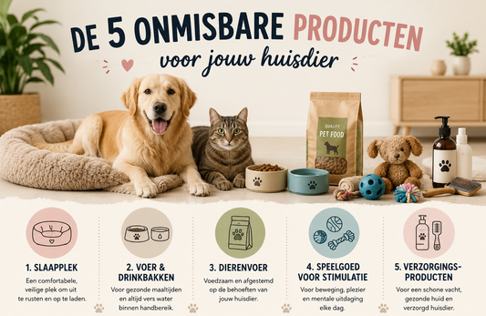 5 onmisbare producten voor jouw huisdier