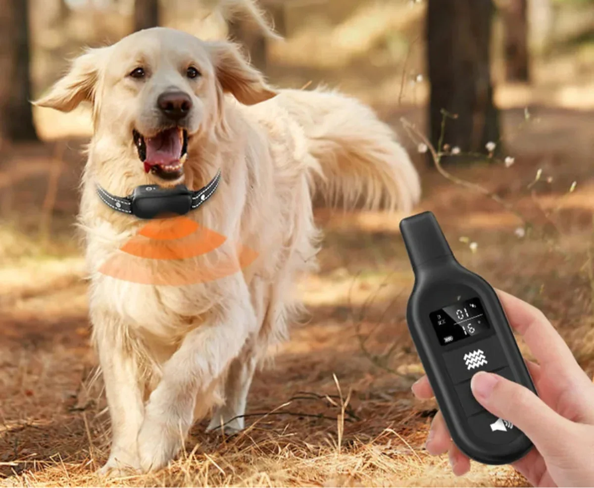 Hondencoach Pro Trainingshalsband – Waterdichte Elektronische Halsband met Afstandsbediening