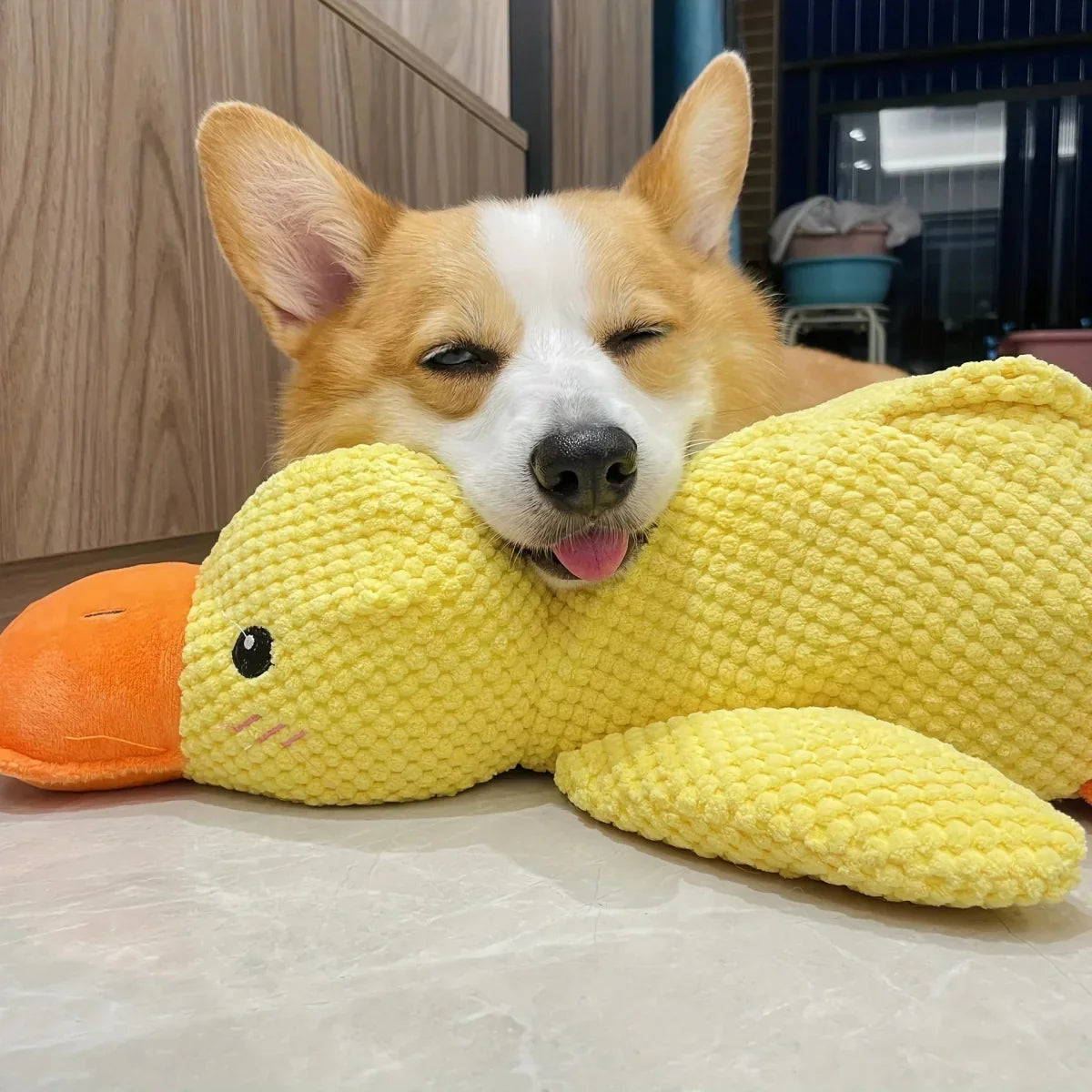 Interactief Honden Speeltje met Kwakgeluid – Vermindert Verveling, Stress en Overmatige Energie