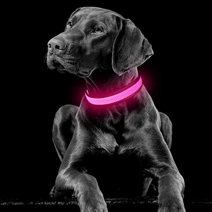 LED Hondenhalsband – Oplaadbaar, Verstelbaar & Veilig in het Donker