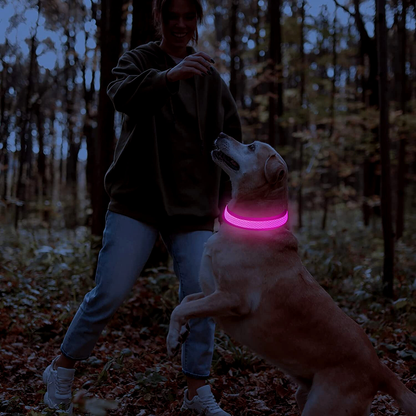 LED Hondenhalsband – Oplaadbaar, Verstelbaar & Veilig in het Donker