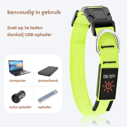 LED Hondenhalsband – Oplaadbaar, Verstelbaar & Veilig in het Donker