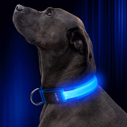 LED Hondenhalsband – Oplaadbaar, Verstelbaar & Veilig in het Donker