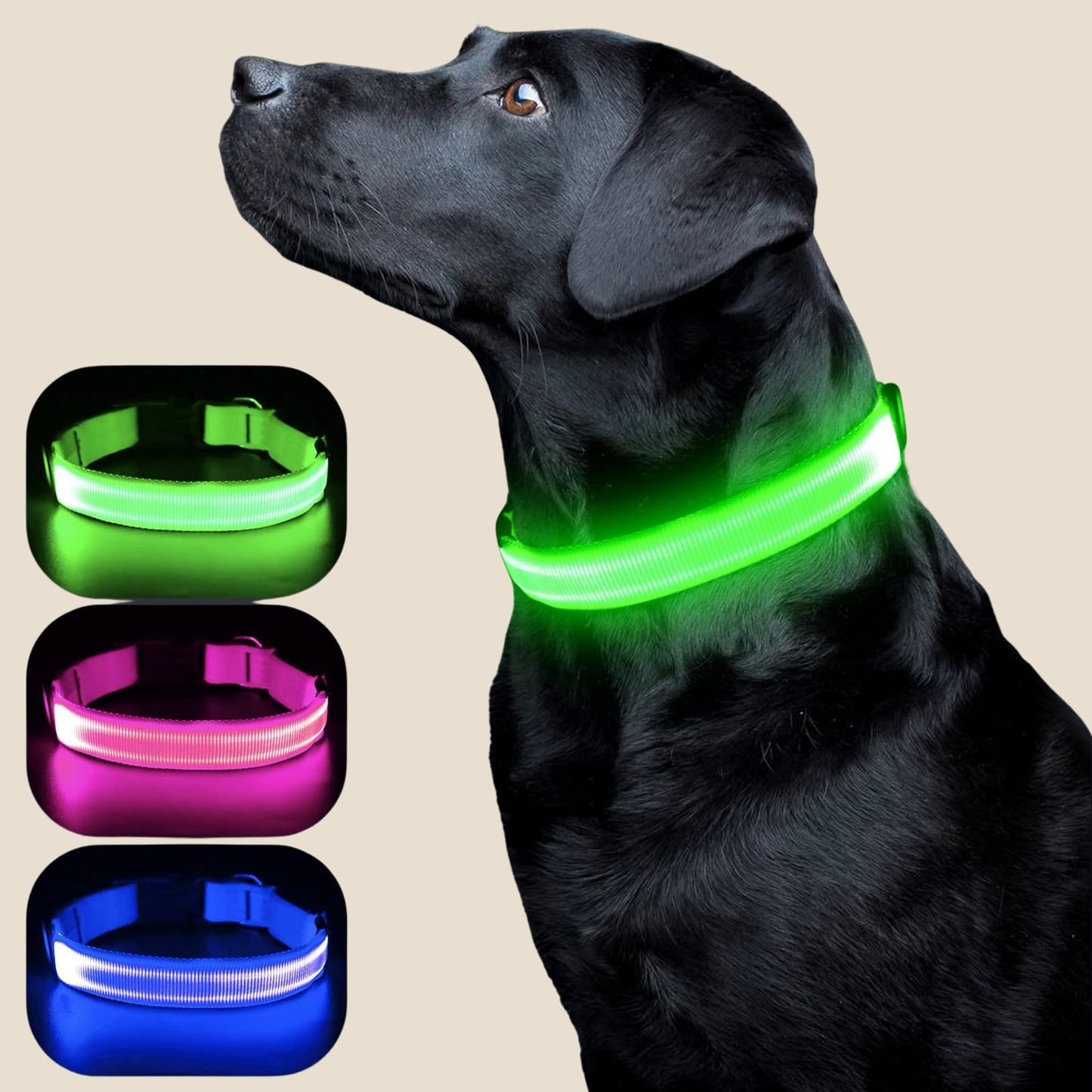 LED Hondenhalsband – Oplaadbaar, Verstelbaar & Veilig in het Donker
