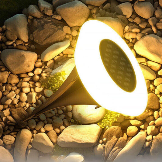SolarSpot | Set van 4 LED-grondspots op zonne-energie
